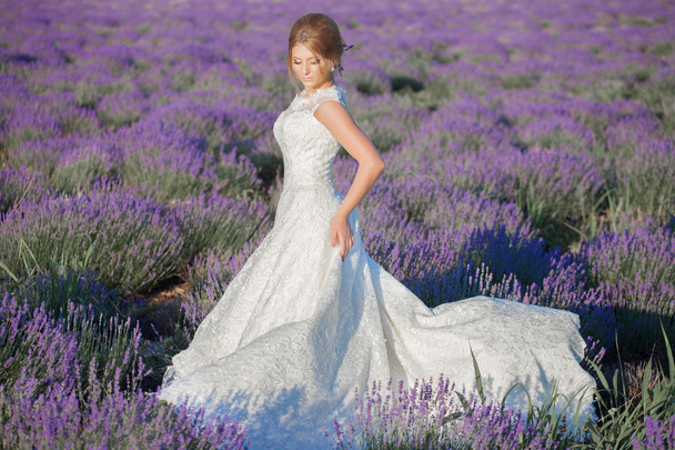 Beautiful Bride in wedding day in lavender field - Фото, изображение