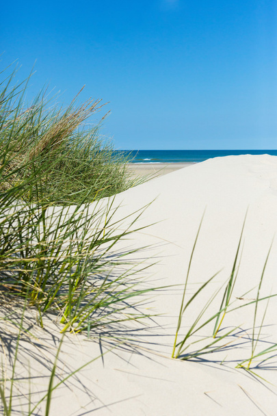 Білий пісок, зелена трава, блакитне море
 - Фото, зображення