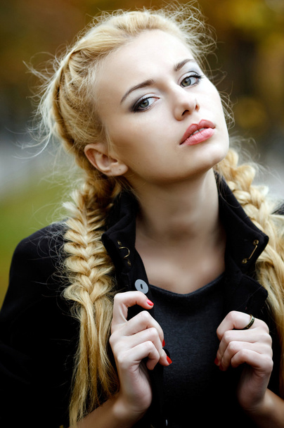 Young beautiful girl in autumn background - Foto, Imagen