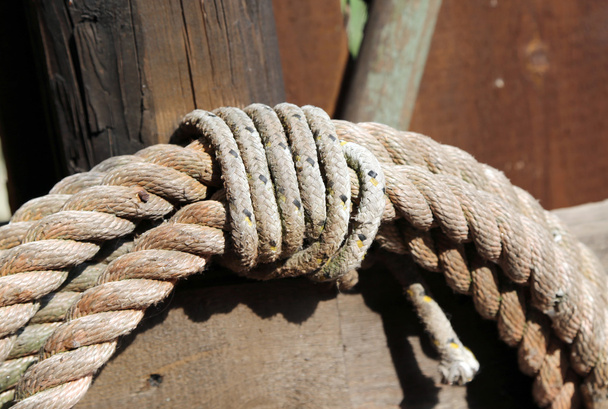 rope to tie the horses on the farm - Photo, Image