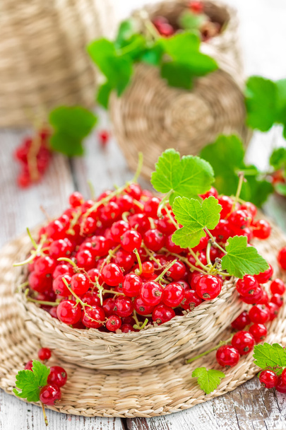 red currant - Foto, afbeelding