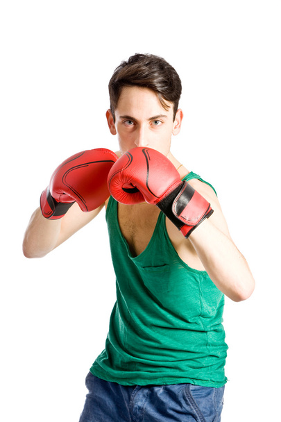 Boxer - Fotó, kép