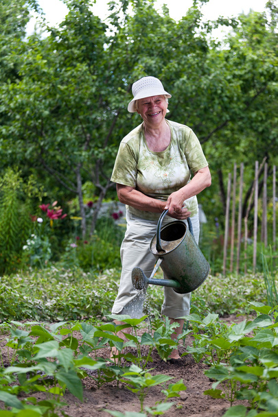 Senior woman working in garden - Foto, afbeelding