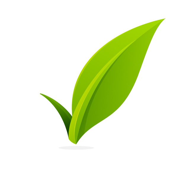 V letter  Eco logo - Vettoriali, immagini