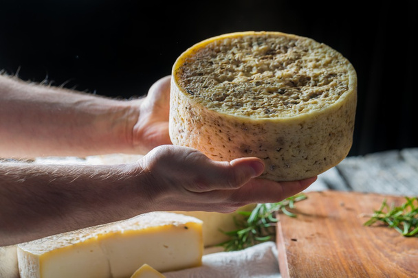 フランスのヤギのチーズ  - 写真・画像