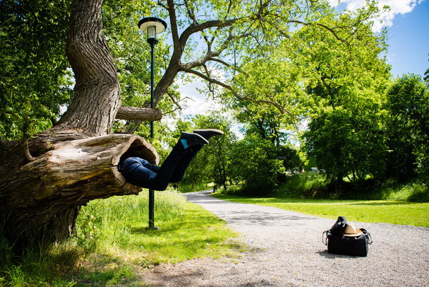 Junger Mann sieht aus, als würde er im Park von einem großen Baum gefressen - Foto, Bild