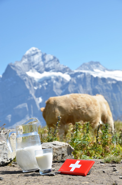 İsviçre çikolata ve süt Alp - Fotoğraf, Görsel