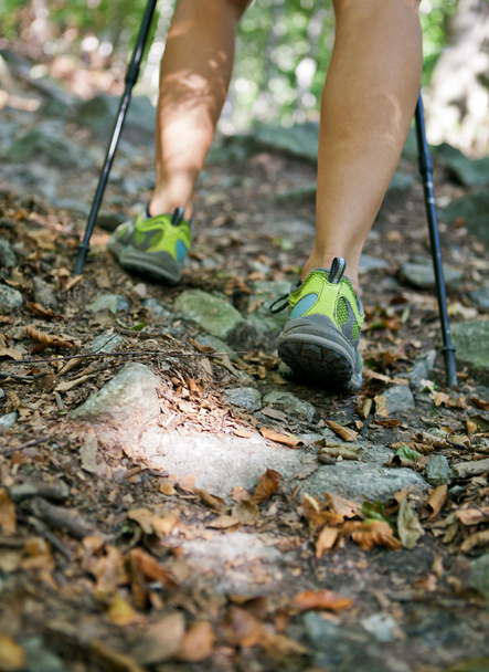 kobieta nogi wędrówki w lesie - Zdjęcie, obraz