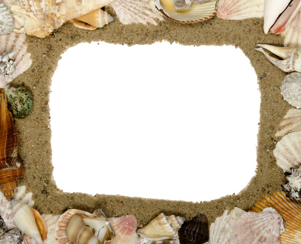 Marco hecho de conchas, lugar para texto
 - Foto, Imagen