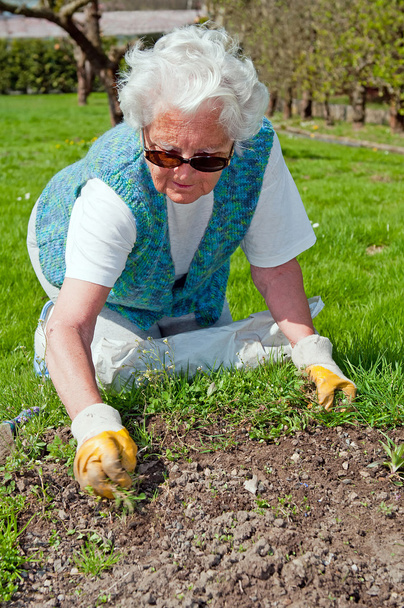 Senior Woman in Garden - Foto, Imagen