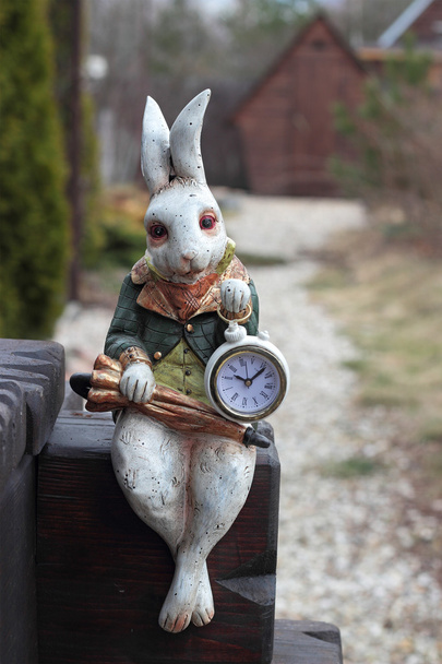 Saat. şemsiye ile yabani tavşan - Fotoğraf, Görsel