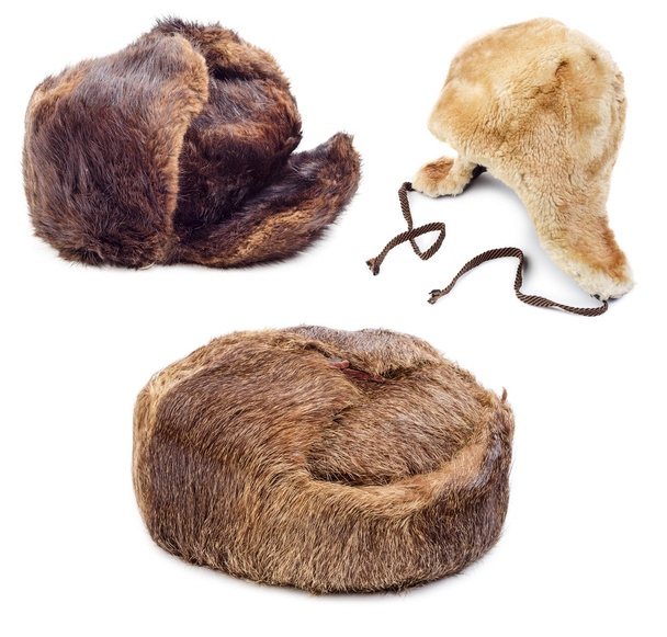Fur hats - Photo, Image