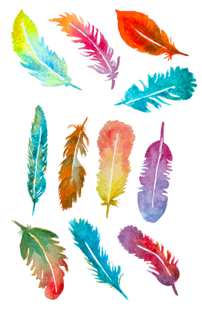 watercolor hand drawn feathers set. vector illustration - Вектор,изображение