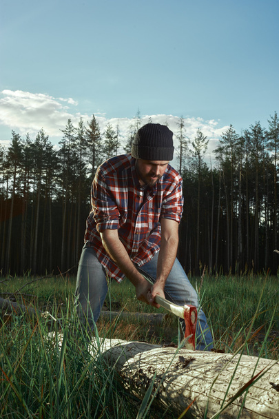 Bearded Lumberjack in a Hat cut a Tree - Foto, Imagem