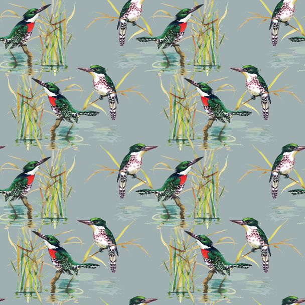 pattern with tropical birds - Fotoğraf, Görsel