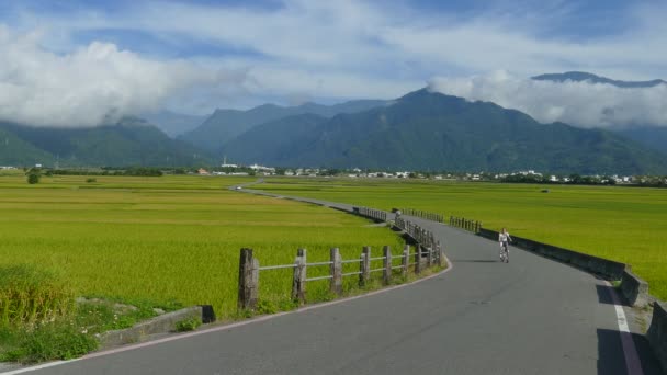 The beauty of the farmland in Taitung Taiwan for adv or others purpose use - Footage, Video