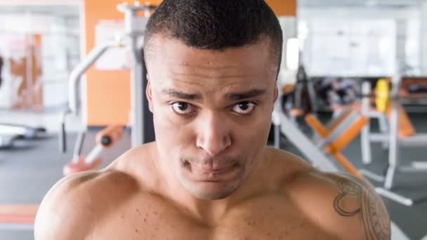 Fit young sportsman is exercising in gym - Footage, Video