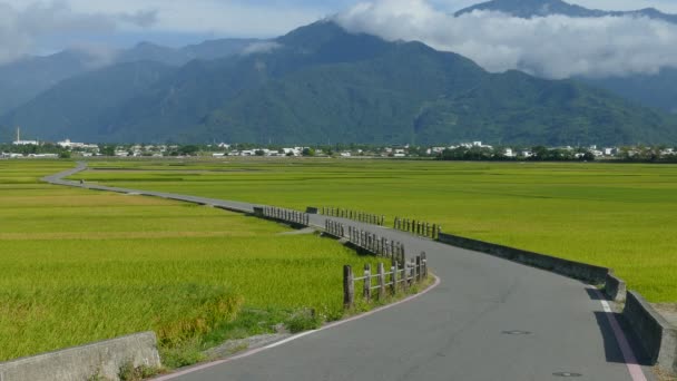 The beauty of the farmland in Taitung Taiwan for adv or others purpose use - Footage, Video