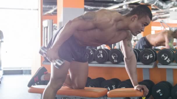 Attractive young sportsman is exercising in gym - Imágenes, Vídeo