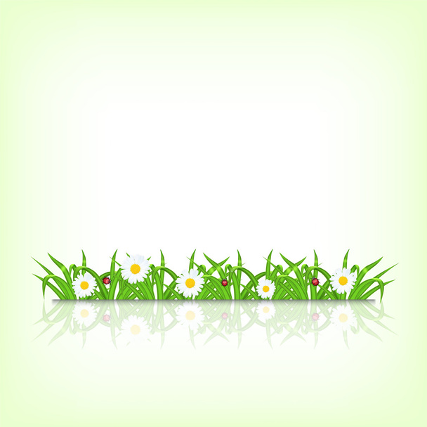 Grünes Gras - Vektor, Bild