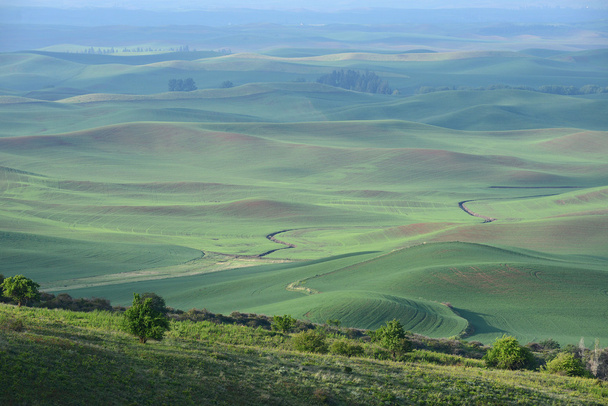 Yeşil tepe alan - Fotoğraf, Görsel