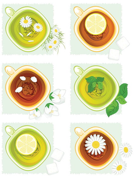 The set. Flower tea and lemon tea. - Vector, imagen