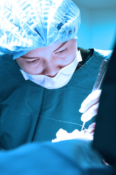 weterynarz Chirurgia w serwerowni - Zdjęcie, obraz