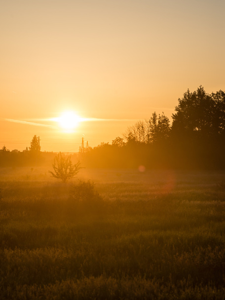 Sonnenaufgang auf nebliger Landwiese - Foto, Bild