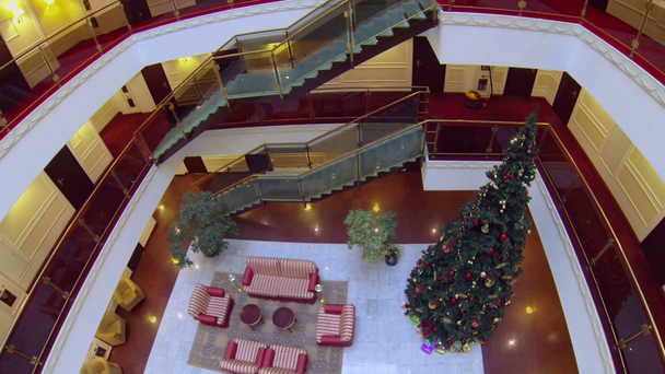 Рождественская елка и диваны в отеле
 - Кадры, видео