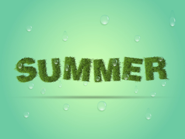 Fresh summer background, grass and water drops. - Vector, afbeelding