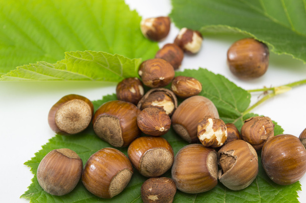 Сырые лесные орехи на зеленом листе
 - Фото, изображение