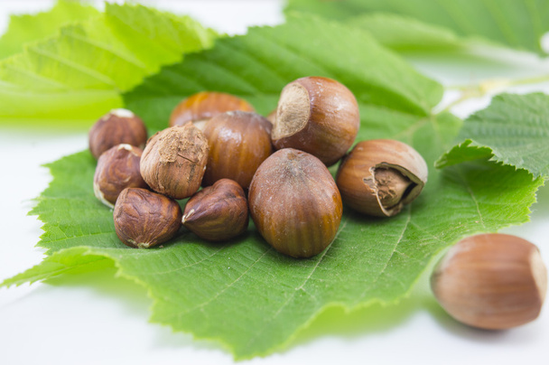Raw hazelnuts on a green leaf - Photo, Image
