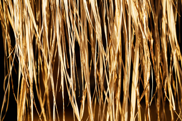 Yellow dry grass (reed) background - Photo, Image