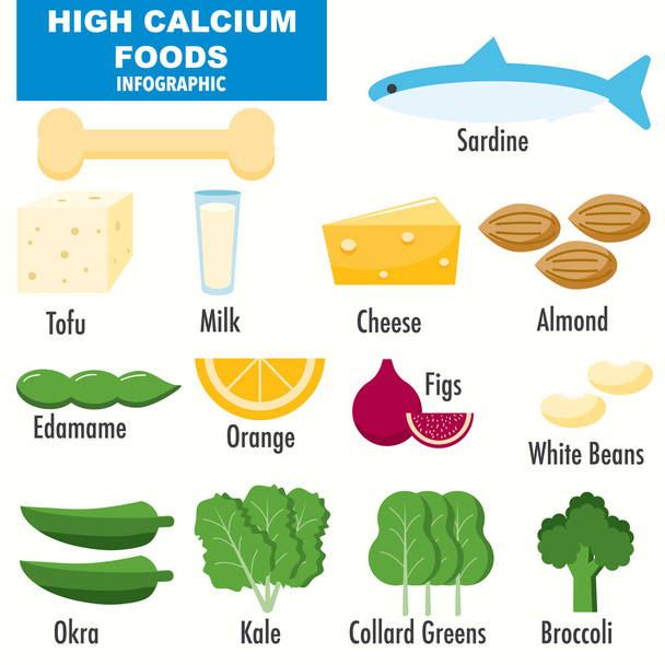 High Calcium foods infographics - Vector, Image