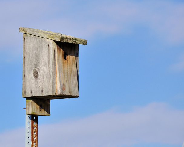 Caja de anidación Bluebird
 - Foto, imagen