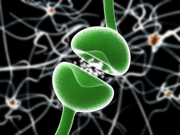 典型的な人間ニューロン ベクトル 4 の解剖学 - ベクター画像
