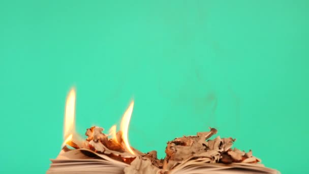 燃える本ドリー ショット クロマ キー 1 を敷設 - 映像、動画