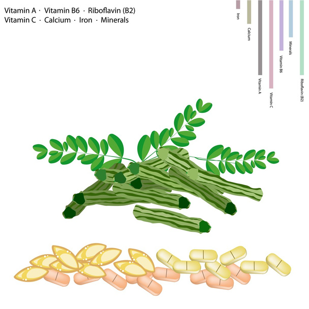 ビタミン a、b6、b2、c とモリンガの莢 - ベクター画像