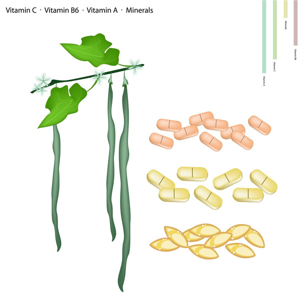 Calabazas de Serpiente con Vitamina C, B6 y A
 - Vector, Imagen