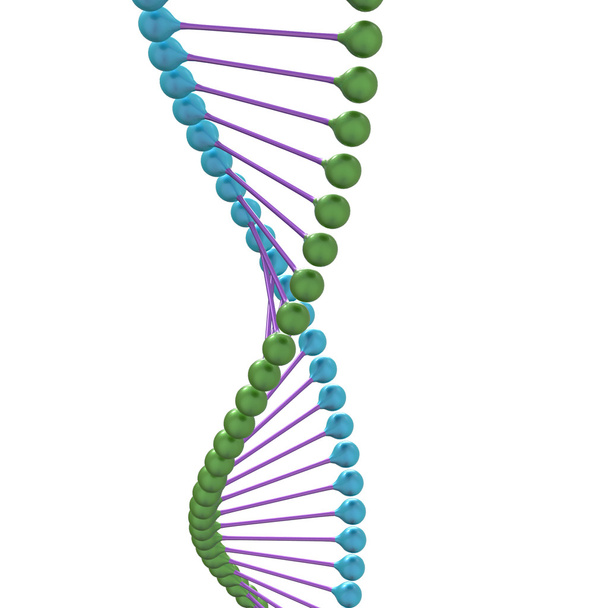 ADN humano
 - Foto, imagen