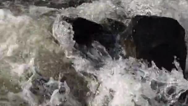 野生の水 - 映像、動画
