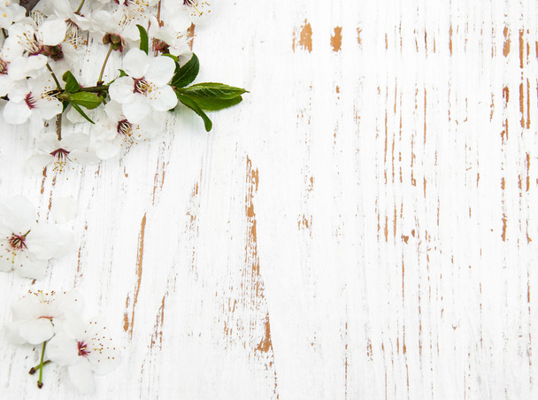 spring blossom on wood background - Foto, immagini
