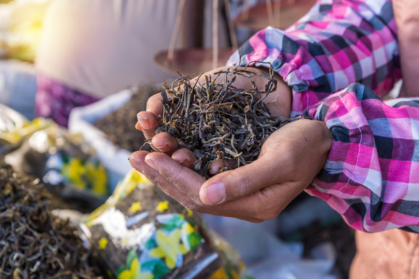 organic green tea dry process after picked on hand in market - Photo, Image
