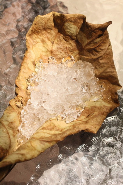 getrocknete Blätter mit Eiswürfeln - Foto, Bild