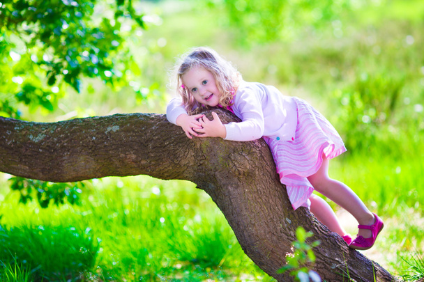 Little girl climbing a tree - Фото, изображение