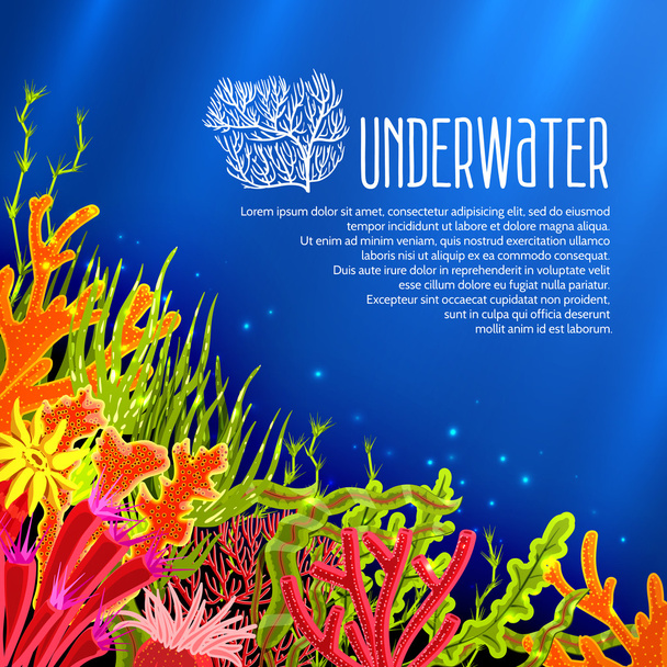підводний корали плакат
 - Вектор, зображення