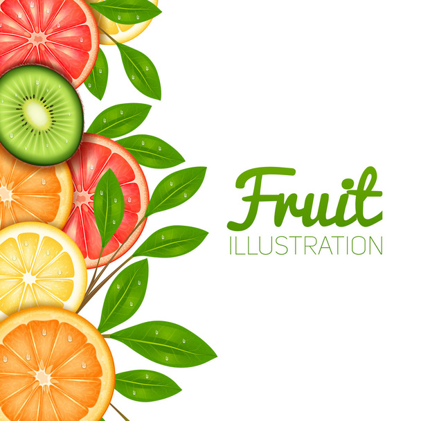 Ilustración de frutas de verano
 - Vector, imagen