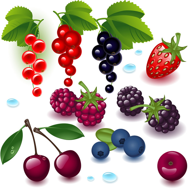 Set berries - Vektor, kép