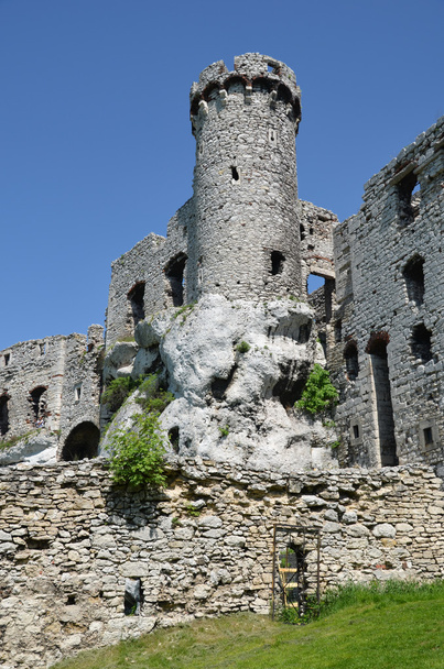 Castillo en Polonia (Ogrodzieniec
) - Foto, Imagen