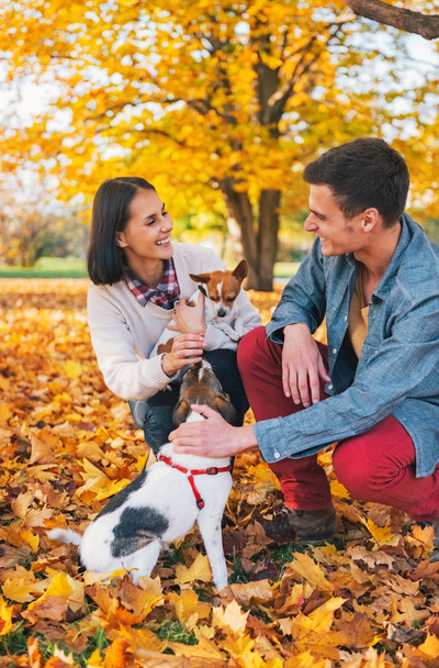 Happy young couple playing with dogs outdoors in autumn - Фото, зображення